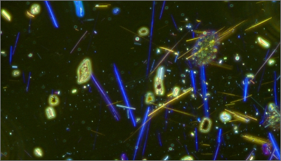 アスベスト調査 イメージ図