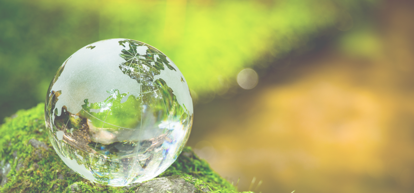 メインイメージ